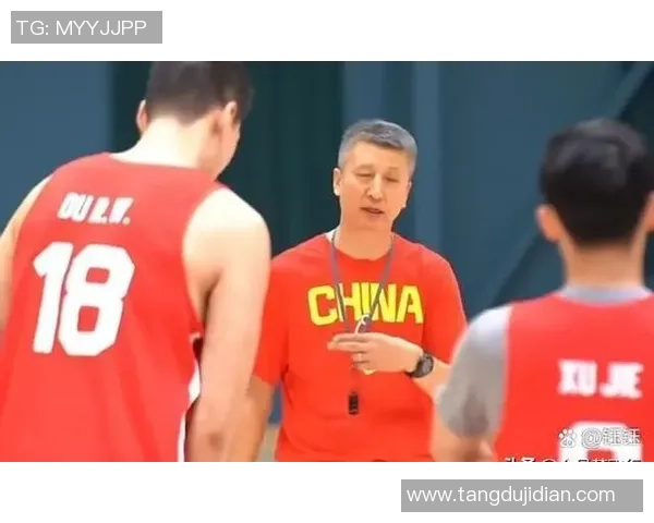 篮球焦点:深圳篮球队的力量探讨